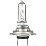 Oex H7 Globe 12V 55W Long Life - 1 Piece