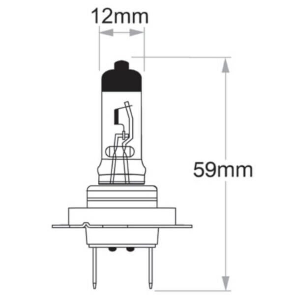 Oex Globe H7 12V 55W Heavy Duty + 50  - 1Piece