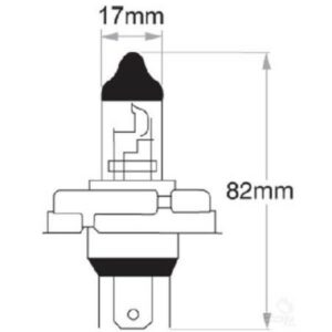 Oex R2 Globe 12V 45/40W Standard - 1 Piece