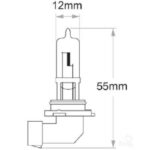 Oex Hb3 Globe 12V 60W Standard - 1 Piece