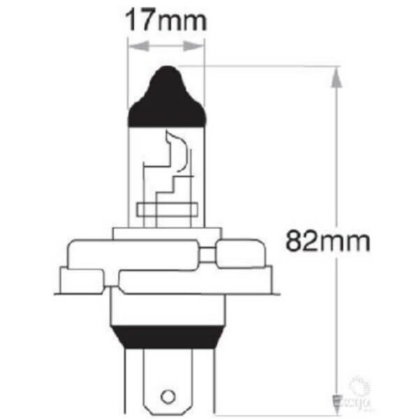 Oex R2 Globe 24V 55/50W Standard - 1 Piece