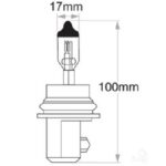 Oex Hb5 Globe 12V 65/55W Standard - 1 Piece