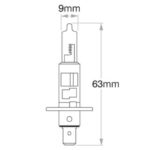 Oex H1 Globe 24V 100W Standard - 1 Piece