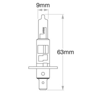 Oex H1 Globe 24V 100W Standard - 1 Piece