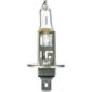 Oex H1 Globe 12V 55W Plus 50 - 1 Piece