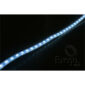 Oex Led Strip Light Cool White 24V Flexible - Adhesive Mount 1200mm