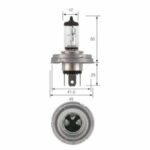 "24V 100/90W P45T Base Narva H4 Globe - Brighten Up Your Vehicle!"