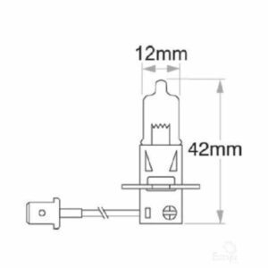 Oex H3 Globe 12V 55W Standard - 1 Piece