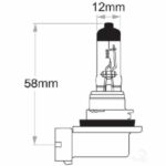 Oex H8 Globe 12V 35W Standard - 1 Piece