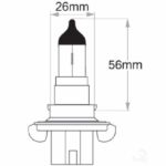 Oex H13 Globe 12V 60/55W Standard - 1 Piece