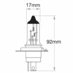 "Oex H4 Globe 24V 75/70W Long Life - 1 Piece | Long-Lasting, High-Performance Lighting"