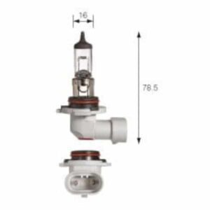 "Brighten Up Your Home with Quality Lighting: Narva Halogen H12 Globe 12V 53W Pz20D"