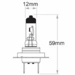 "H7 Globe 12V 55W Standard - 1 Piece | High Quality & Long-Lasting Bulb"